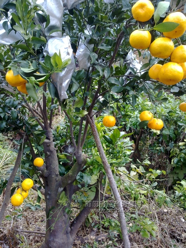 201112211425.jpg