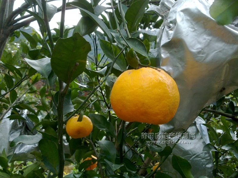 201112211428.jpg