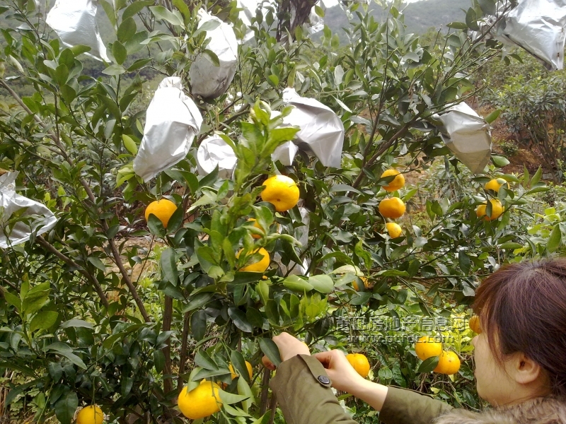 201112211429.jpg