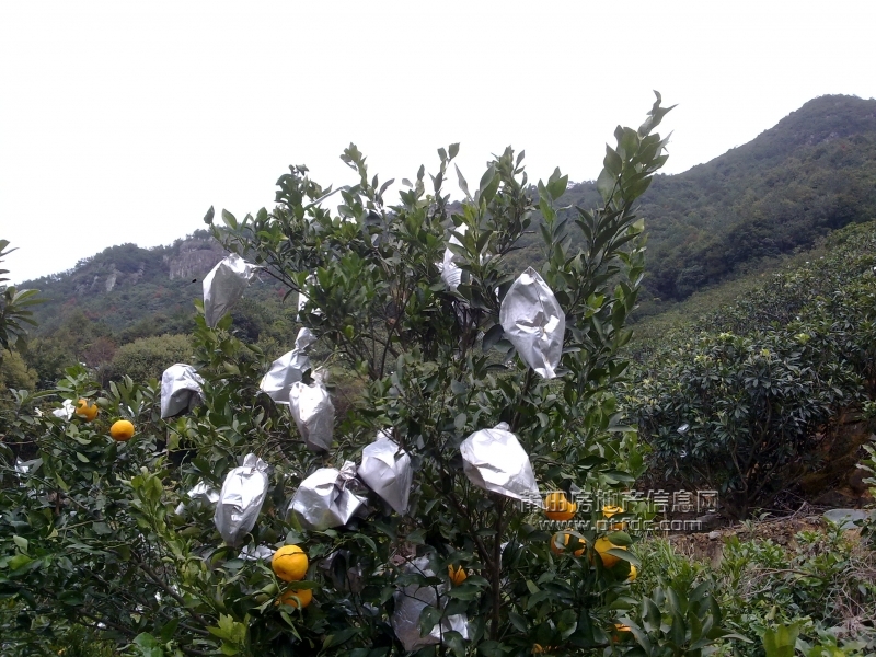 201112211430.jpg