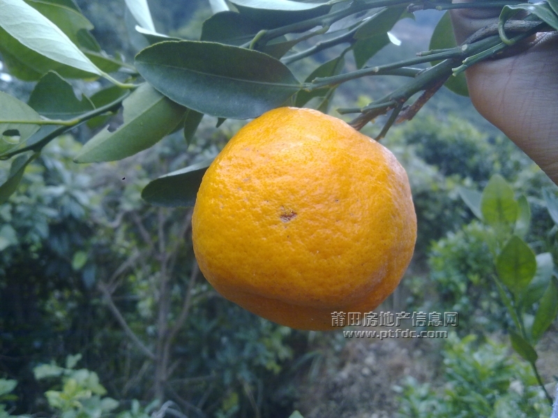 201112211431.jpg
