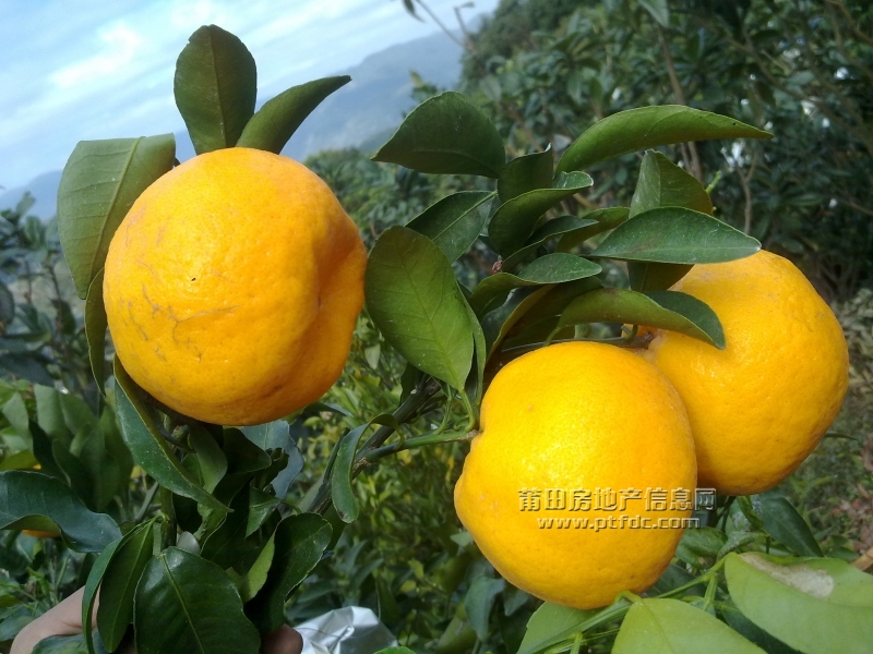 201112211433.jpg