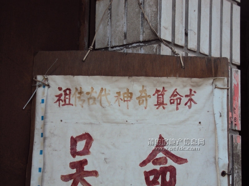 DSC08826.JPG