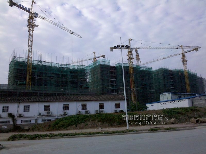 2011-12-31.jpg