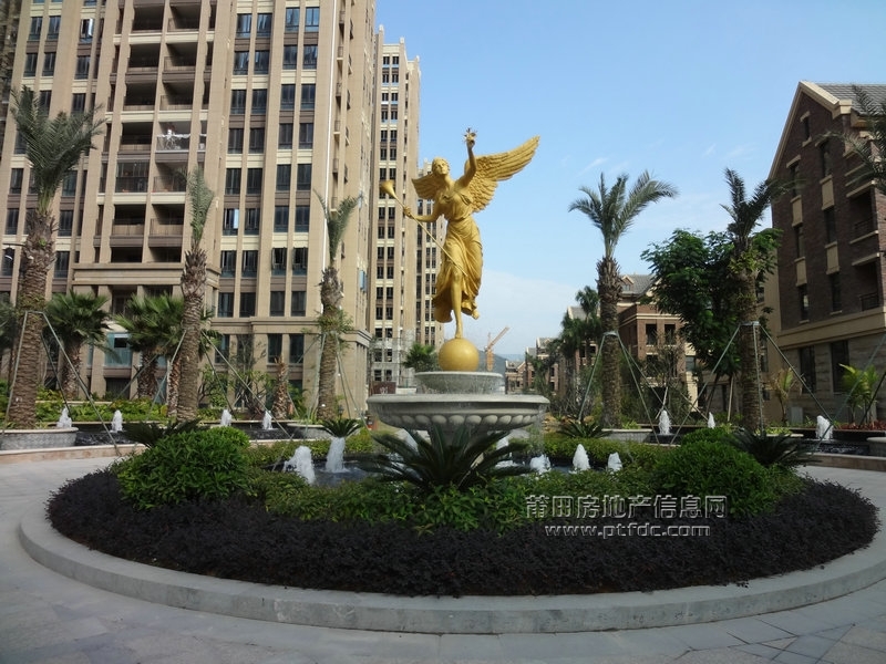 DSC02240.JPG