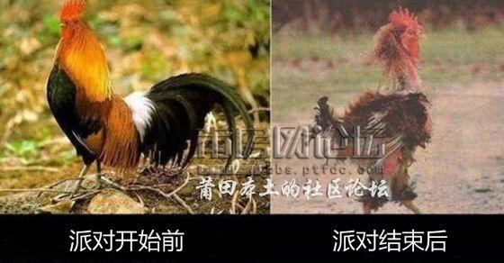 豆腐昨晚参加疯狂的派对....jpg