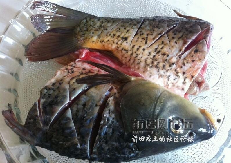 20120105084802.jpg