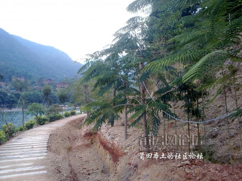 201201091774.jpg