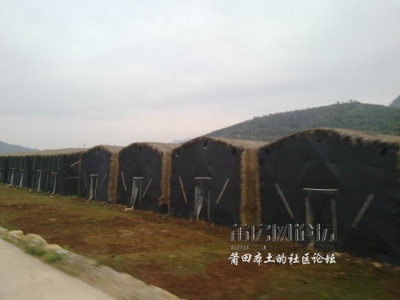 201201091801.jpg