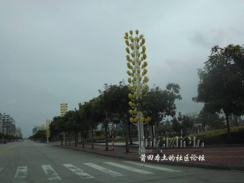 DSCF3633.jpg
