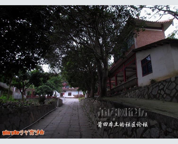 南山崇福寺20120202 (1).jpg