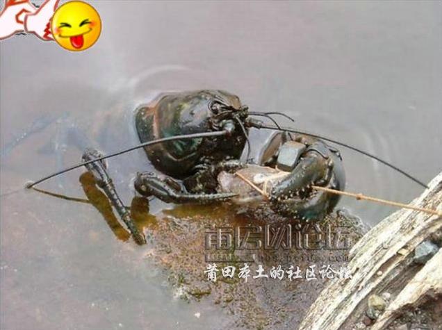 360截图20120206111320875.jpg
