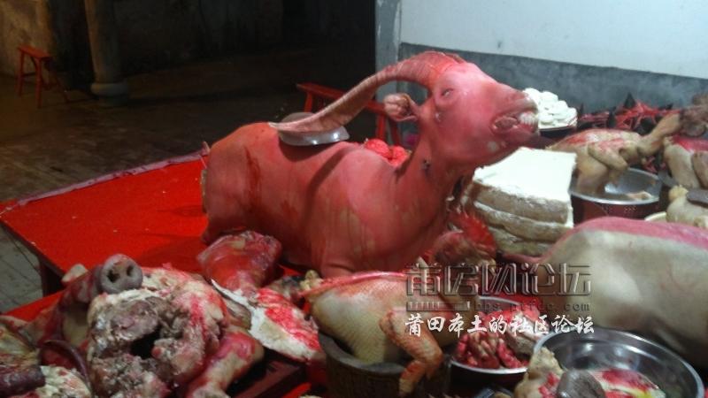 201202061782.jpg