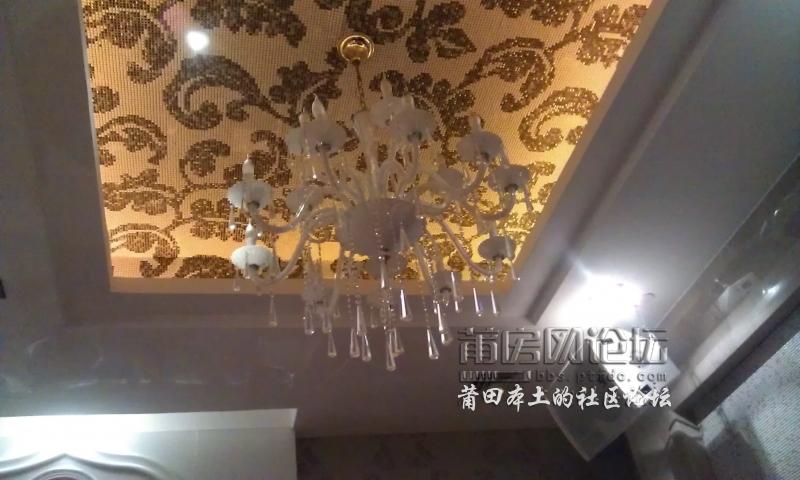IMAG0384.jpg