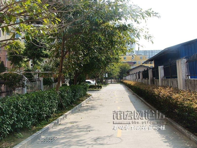 nEO_IMG_DSC07812.jpg