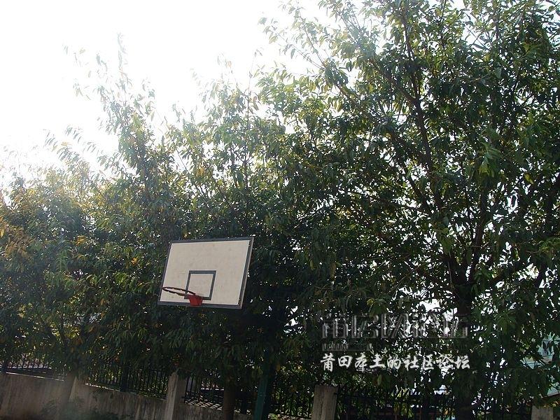 nEO_IMG_DSC07814.jpg