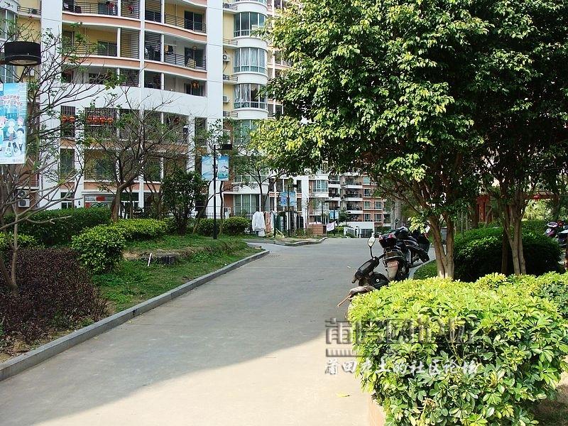 nEO_IMG_DSC07818.jpg