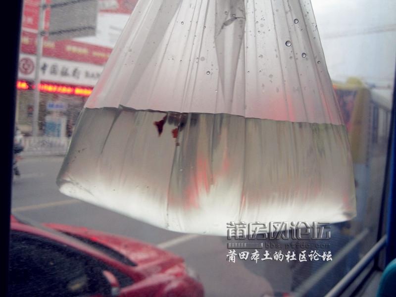 IMG_5182_副本.jpg