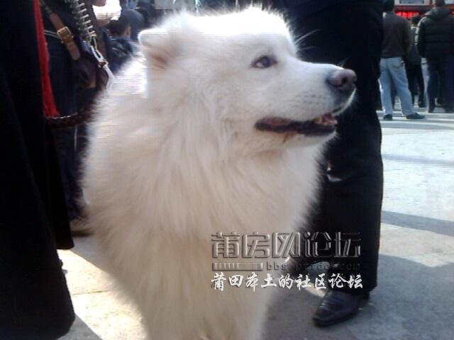 IMG3205A.jpg