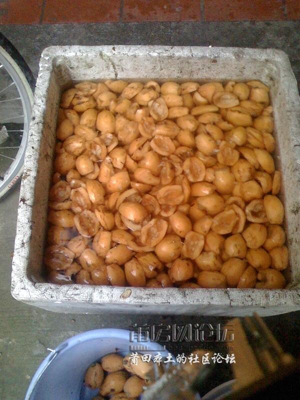 IMG0420164301.jpg