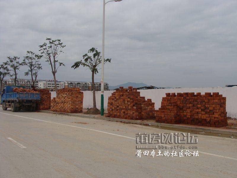 nEO_IMG_DSC08462.jpg