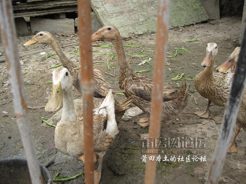 IMG_2196_副本.jpg