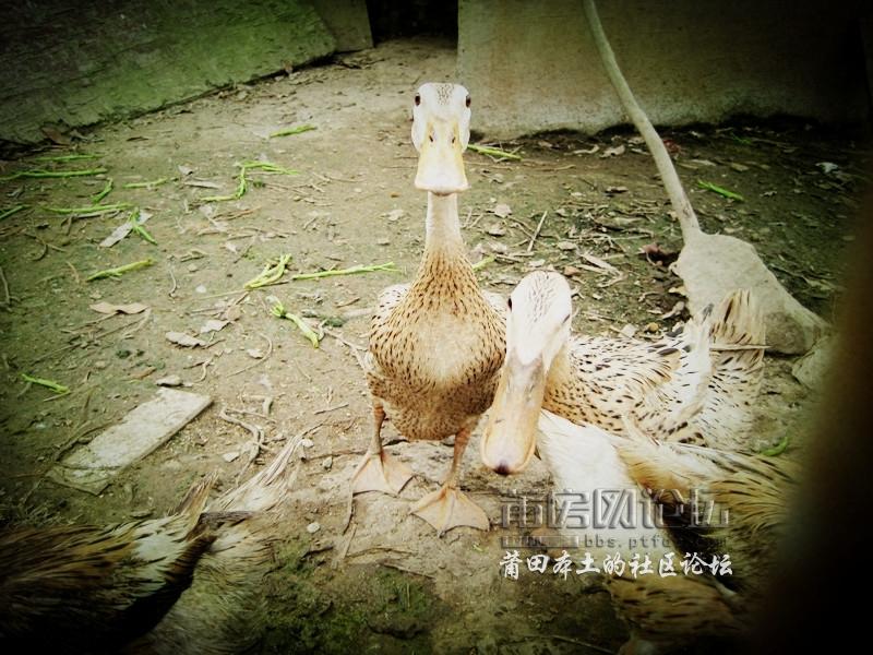 IMG_2202_副本.jpg