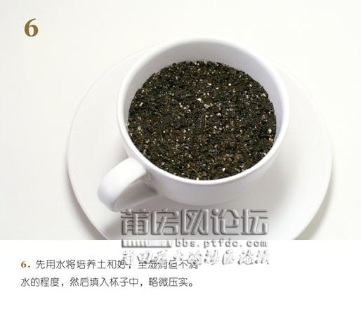 p135329551-6.jpg