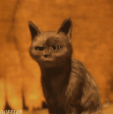 MM.gif