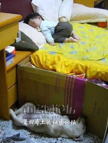 该躺的不躺，该趴的不趴.jpg