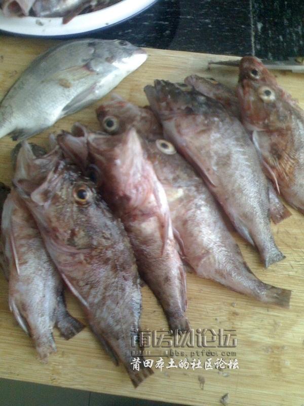 IMG0514073900.jpg