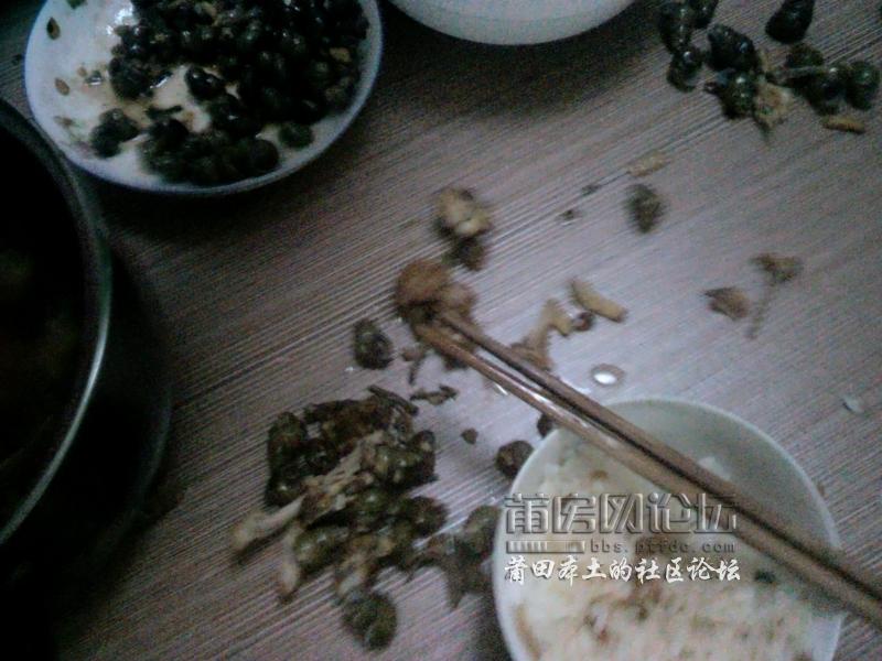 2012-05-23 12.13.46.jpg