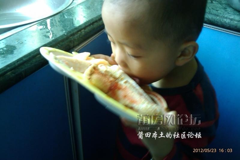 IMAG0489.jpg