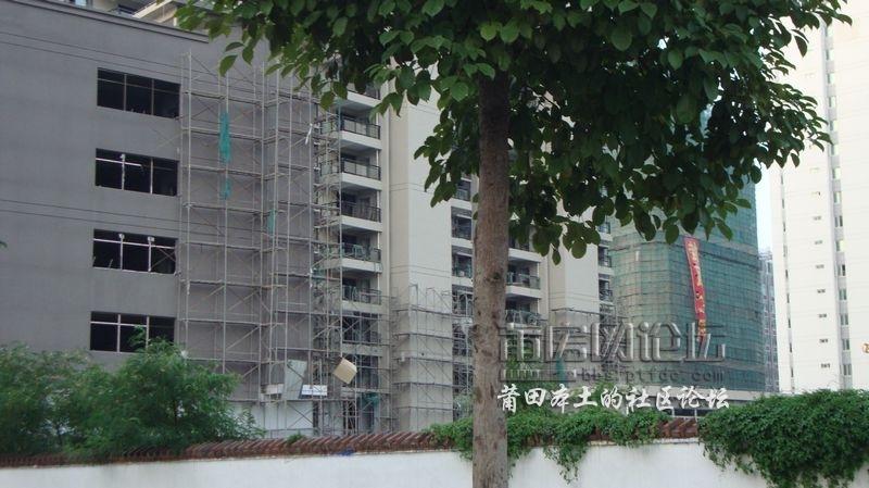 nEO_IMG_DSC05539.jpg