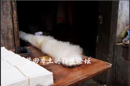 QQ截图20120525173605.jpg
