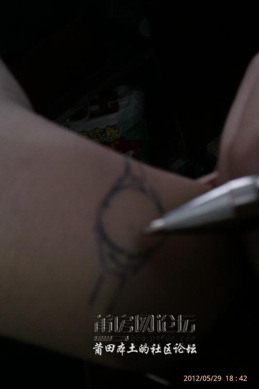 IMAG0565.jpg