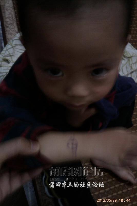 IMAG0569.jpg
