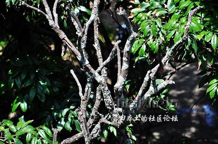 nEO_IMG_DSC_0195.jpg