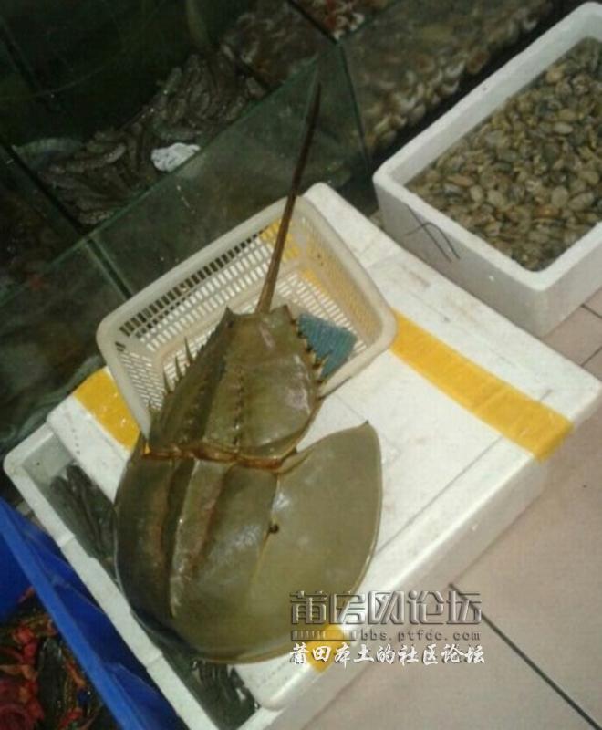 MSNLitePic 2012-06-19 08_36_14.jpg