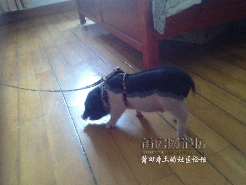 照片 020.jpg