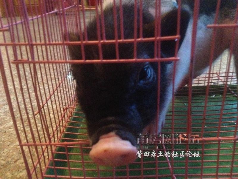 照片 035.jpg