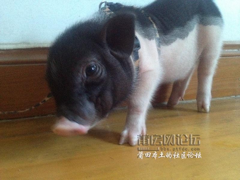 照片 007.jpg