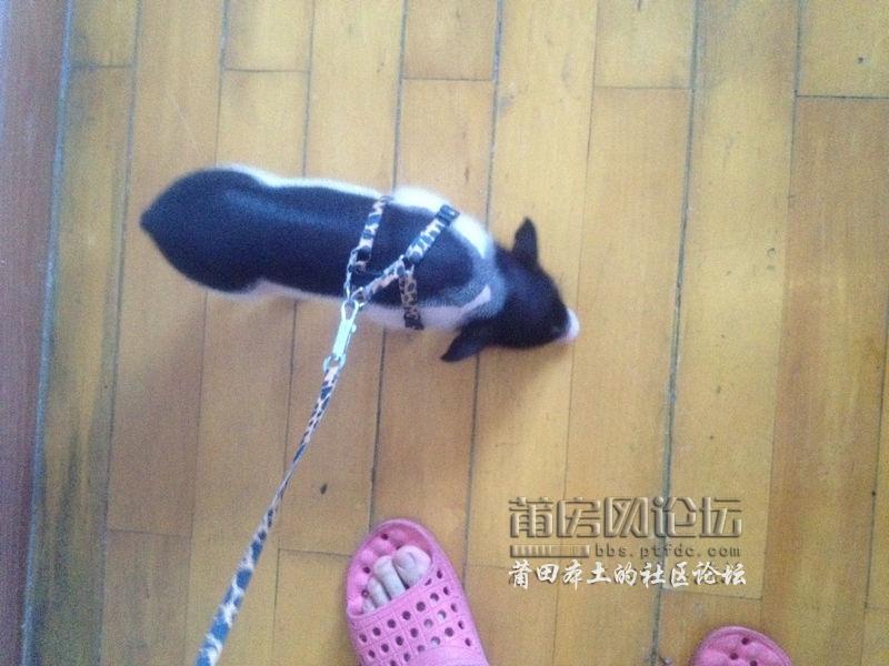 照片 012.jpg