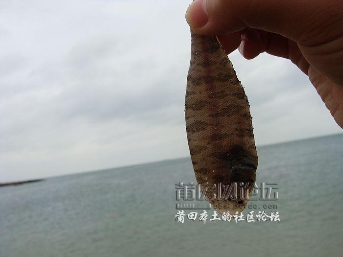 nEO_IMG_DSC09841.jpg