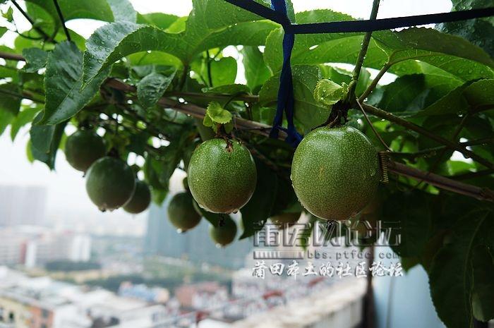 nEO_IMG_DSC00272.jpg