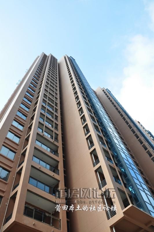 nEO_IMG_DSC_0111.jpg