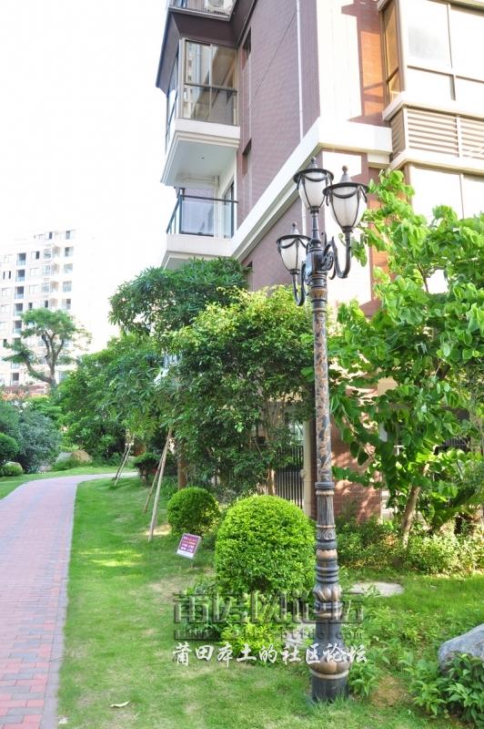 nEO_IMG_DSC_0124.jpg