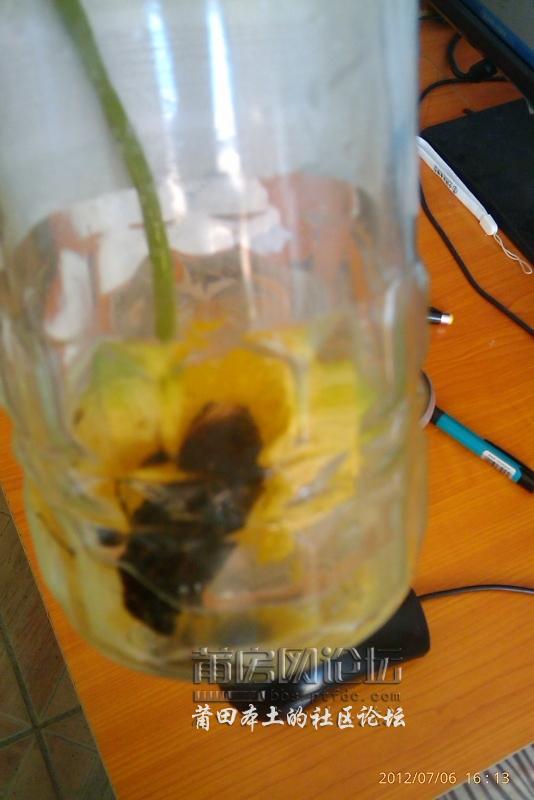 IMAG0726.jpg