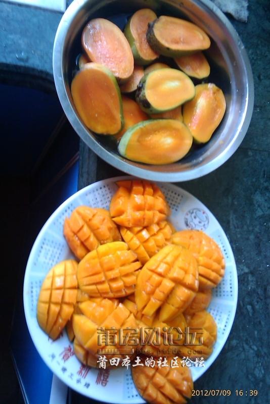 IMAG0752.jpg