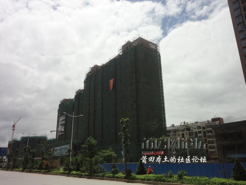 DSC01644.jpg